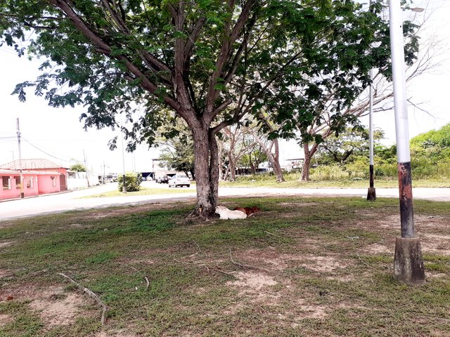 20250803_131246.jpg