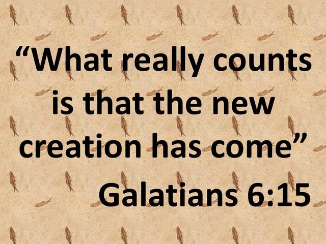 Studying the scriptures. What really counts is that the new creation has come. Galatians 6,15.jpg