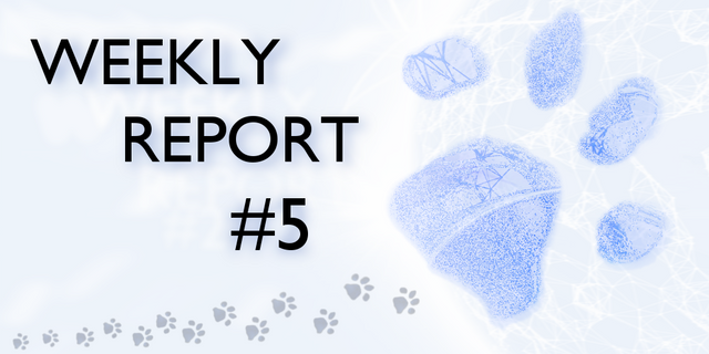 weekly report 5 v1.png