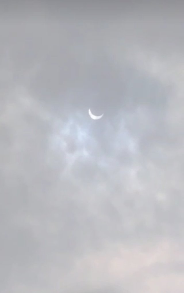 IMG_20200621_195607.jpg