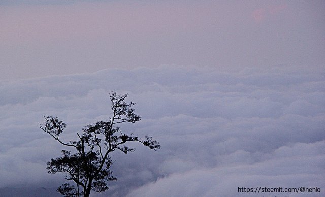 above-clouds-1.jpg