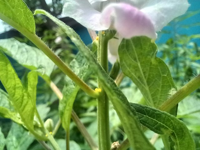 20250801_115203.jpg