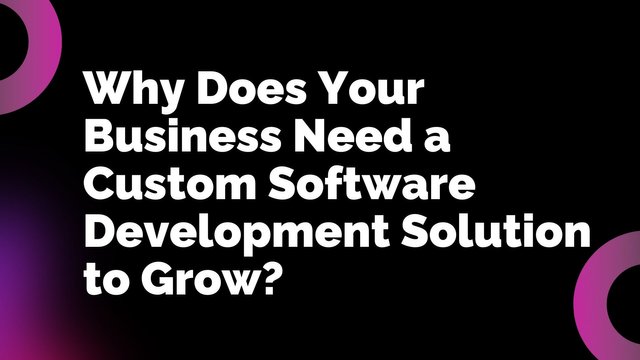 Why Startups Need Custom Software Development (1).jpg