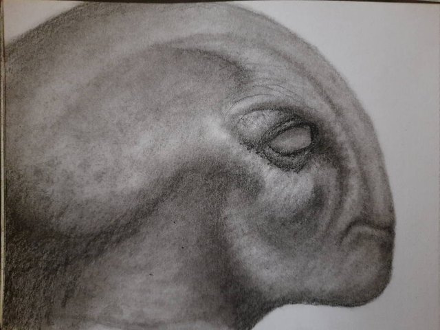 20250929_110300.jpg