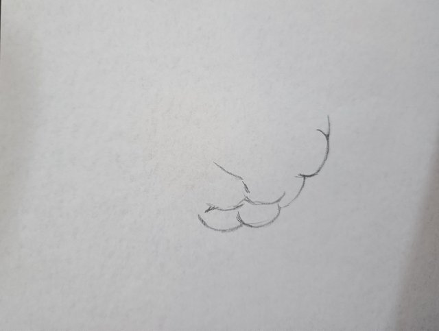 1747231636145.jpg