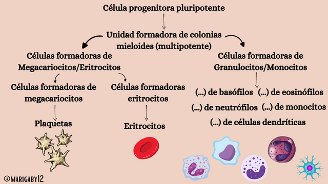 Blood groups (1024 x 576 px) (4).png