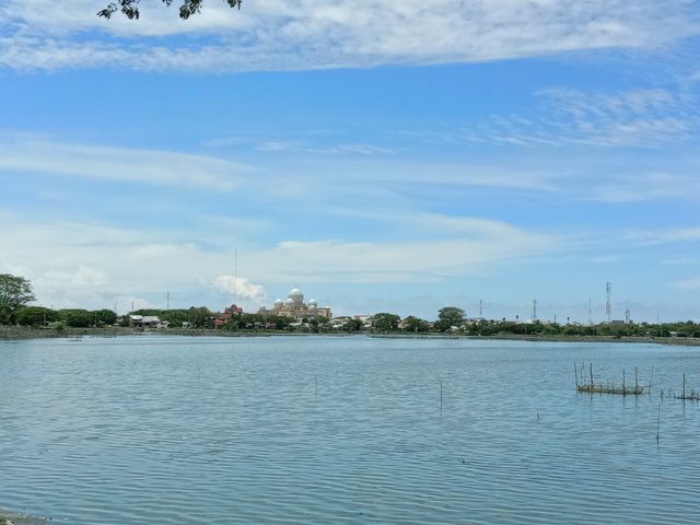 IMG_20250405_134201.jpg