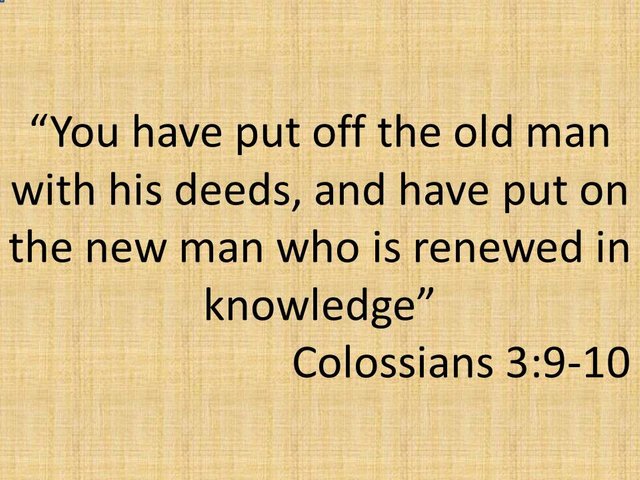 What is the difference between the old man and the new man in the epistle to the Colossians.jpg