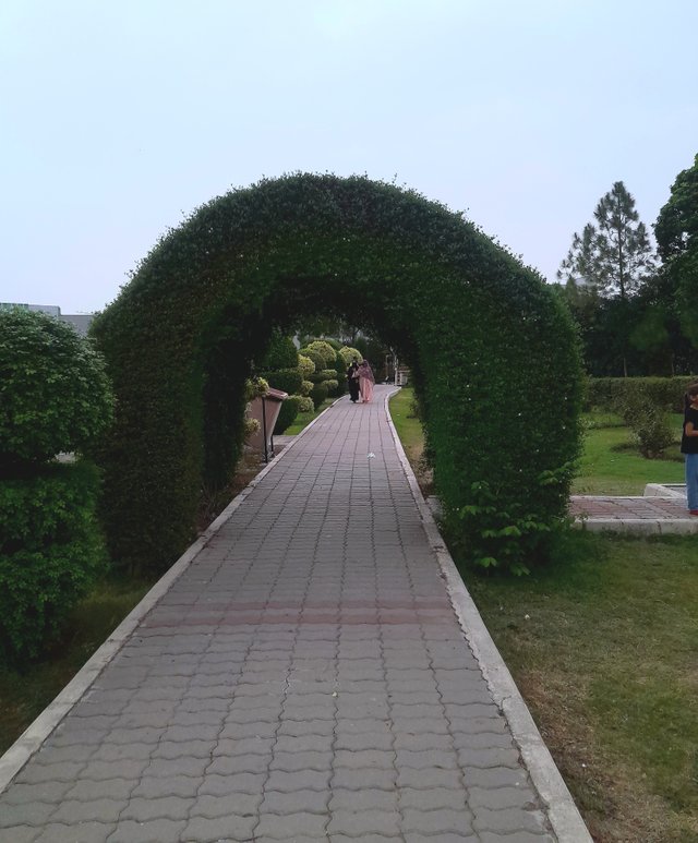20250817_181740.jpg