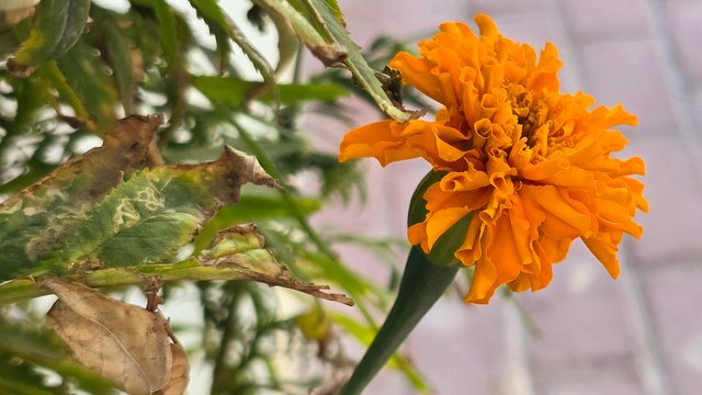 20250330_063815.jpg
