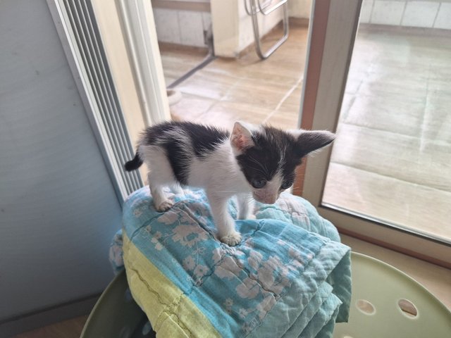 KakaoTalk_20250716_073517355_01.jpg