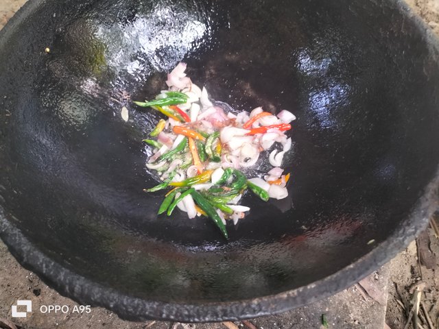 IMG20250613084703.jpg