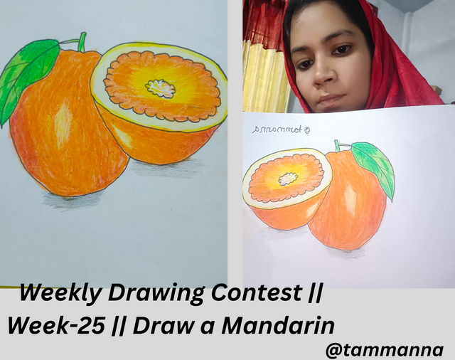 Weekly Drawing Contest  Week-25  Draw a Mandarin.png