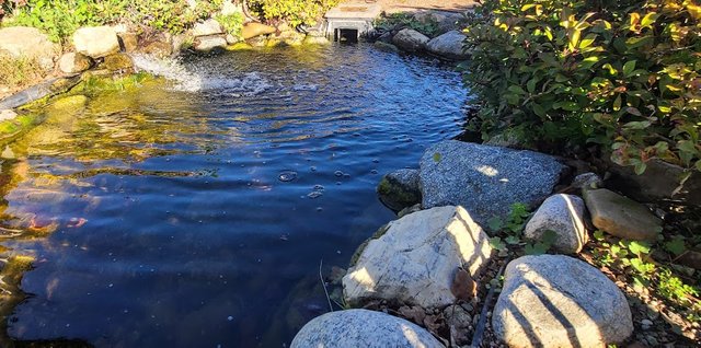 A beautiful pond that I came across along my journey