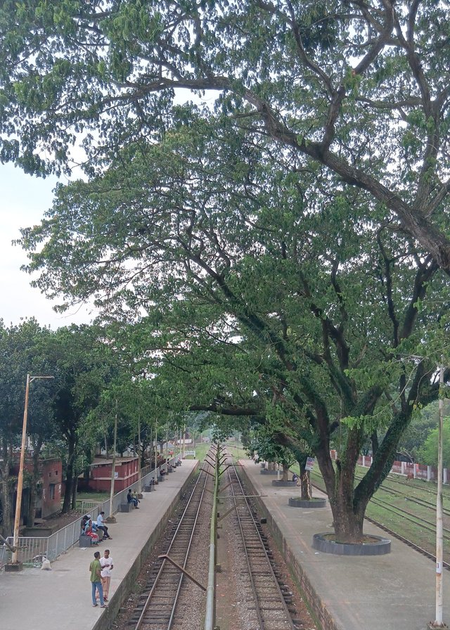 6617.jpg