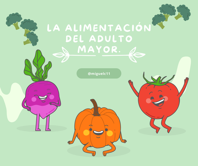 La alimentación del adulto mayor..png