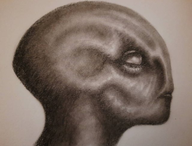 20250825_113315.jpg
