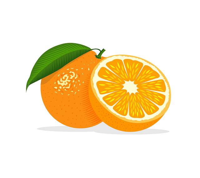 orange-4547207_640.png