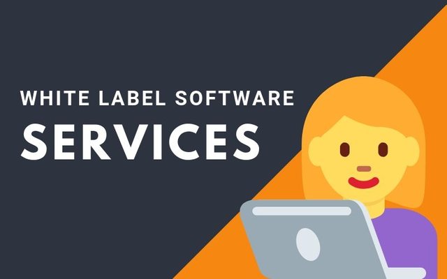 White label software services solution coinsclone.jpg