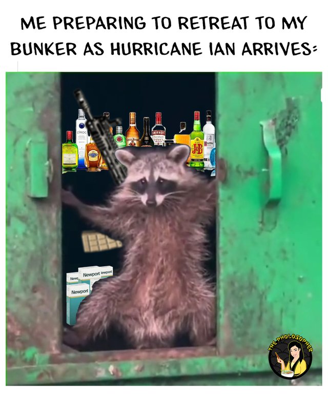 hurricane ian prep.jpg