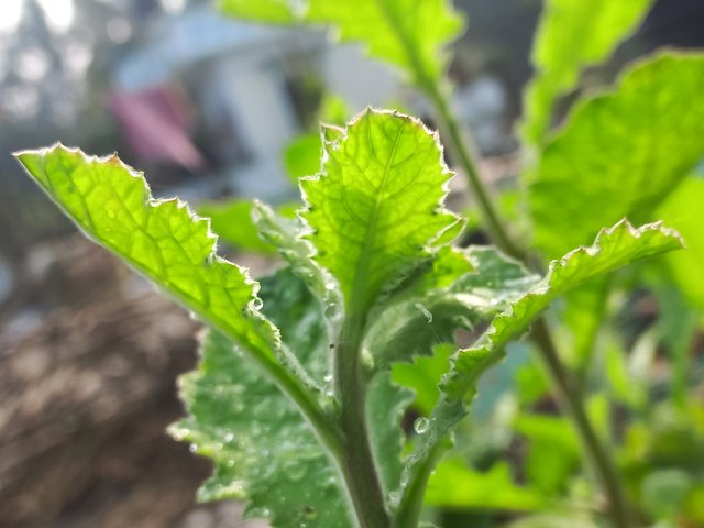 20240119_095050.jpg
