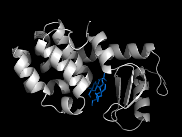 1_PDB_T4.png