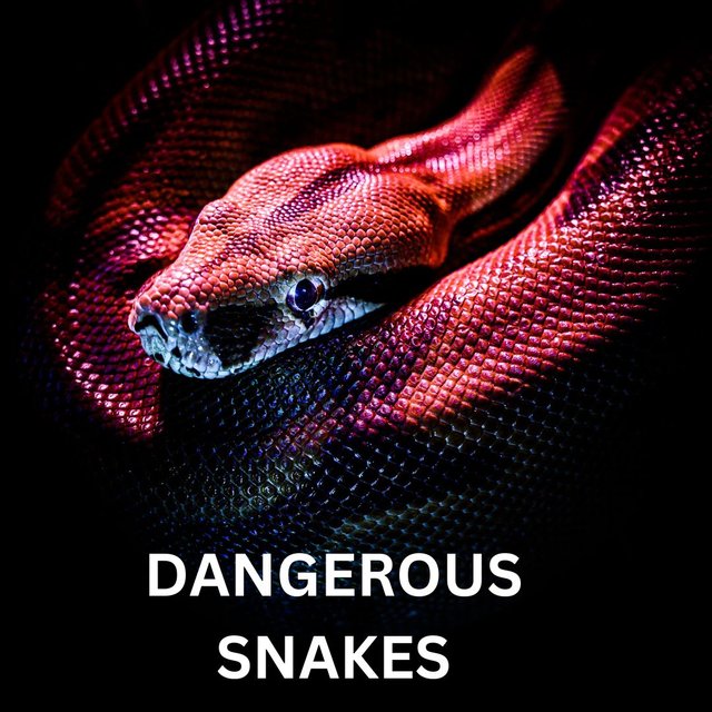 DANGEROUS SNAKE.jpg