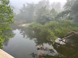 4.15 creek.jpg