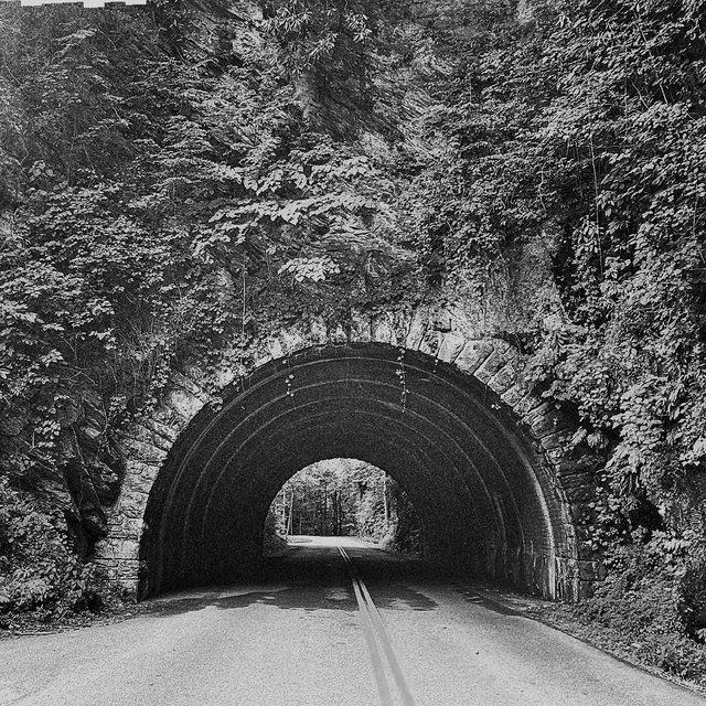 bw-tunnel.jpg
