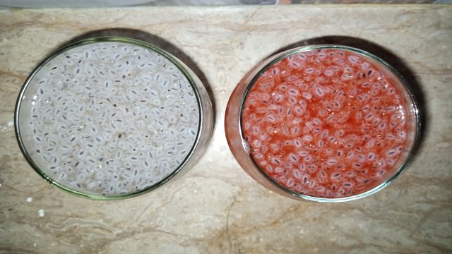 Chia Seeds 1.jpg