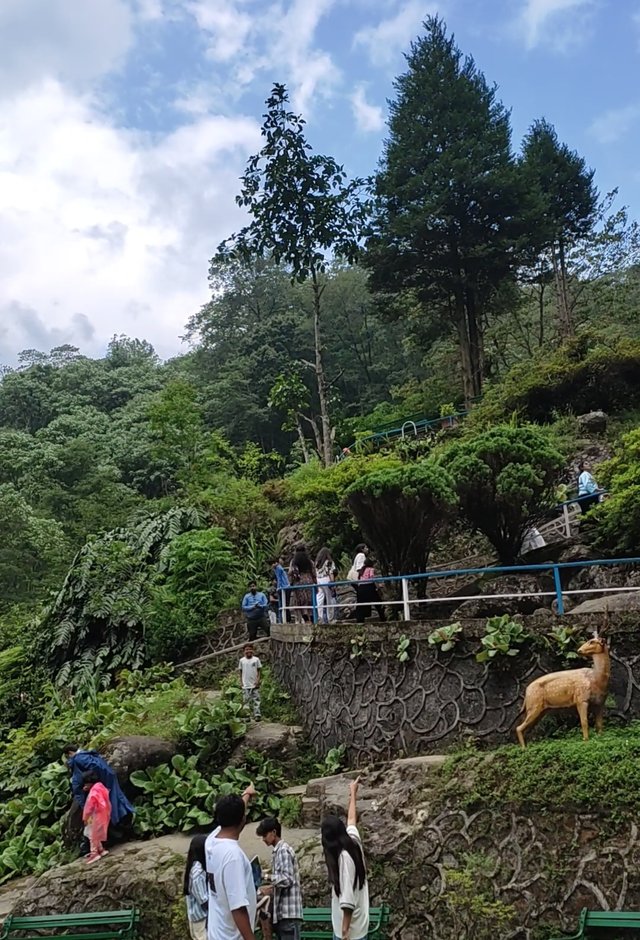 IMG_20250828_121438.jpg
