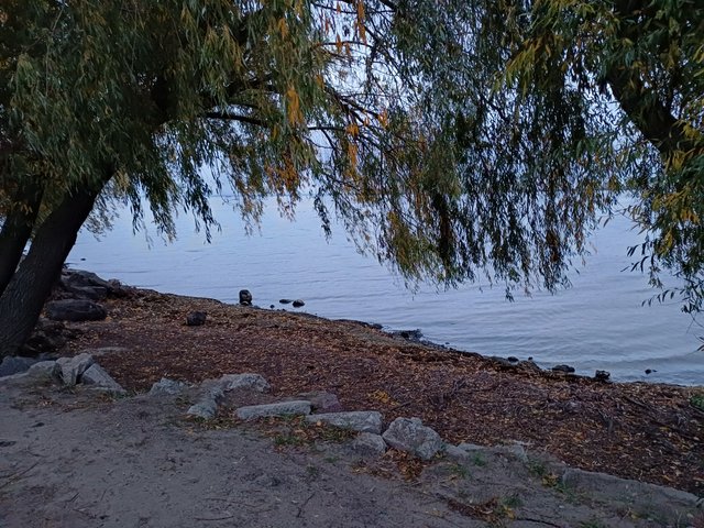 20251020_070722.jpg