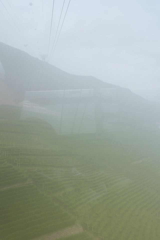 79767283-0011-414b-8676-d5e215f94f5e.png