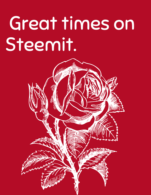 Red White Simple Beautiful Rose On T Shirt Templates.png
