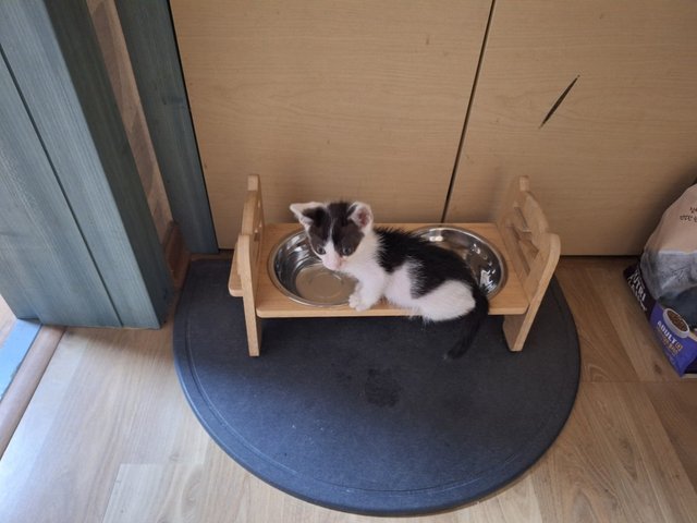 KakaoTalk_20250718_114841326_04.jpg