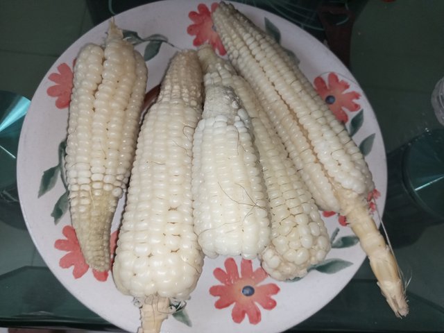IMG_20250622_115300_136.jpg