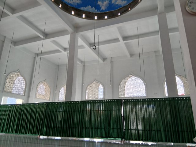 20250418_134132.jpg