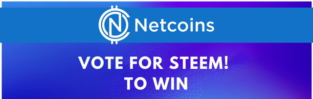 Netcoins_edit.png