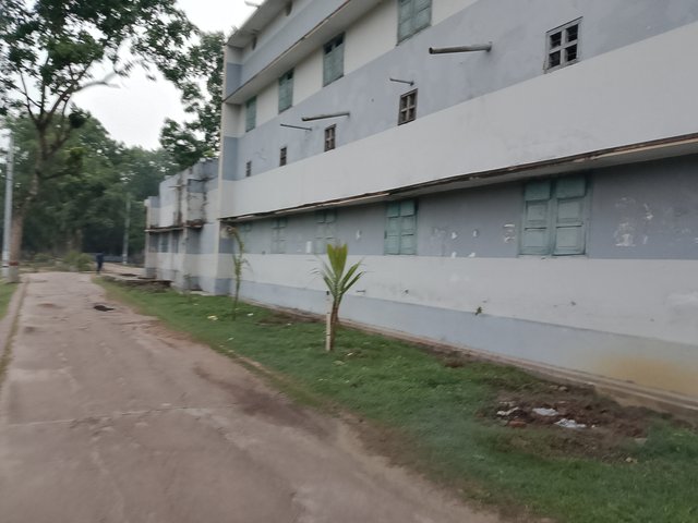 1000036869.jpg