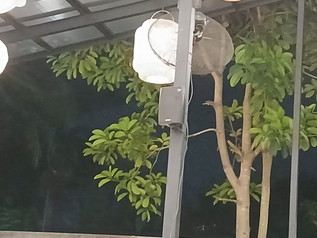 20250404_205639.jpg