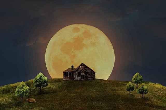 full-moon-home-meadow-trees-preview.jpg