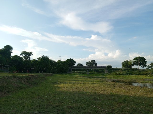 IMG_20230724_173957_173.jpg