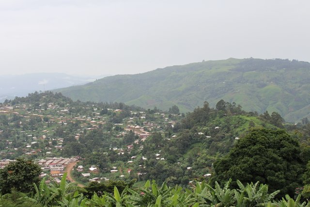 Boyo_hills_of_Bamenda,_Cameroon_06.jpg