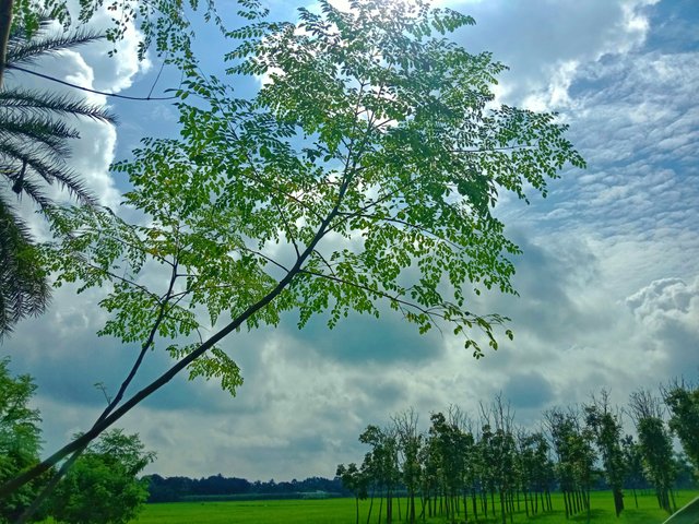 IMG_20250915_200154.jpg