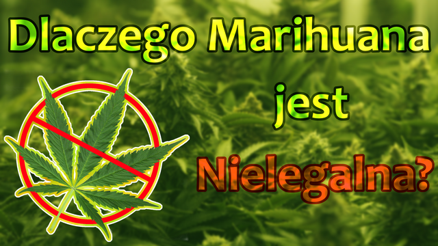 Marihuana gotowa na Steemit.png