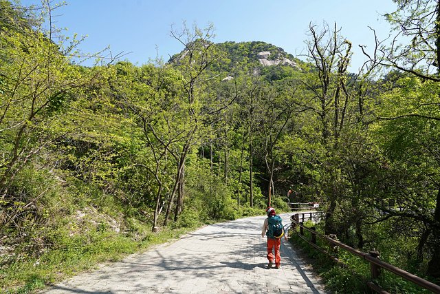 DSC08845.JPG