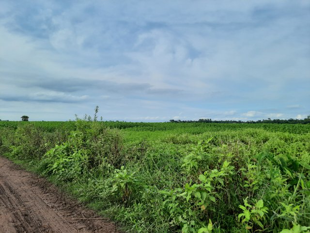 20250530_162533.jpg