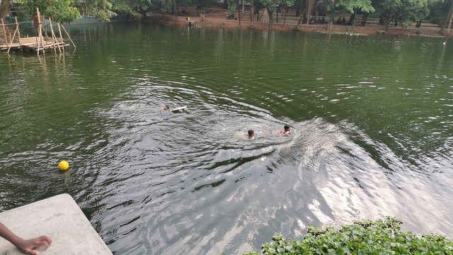 IMG_20240608_162100_1.jpg
