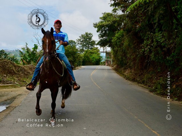 Colombian Horse Culture-3.jpg