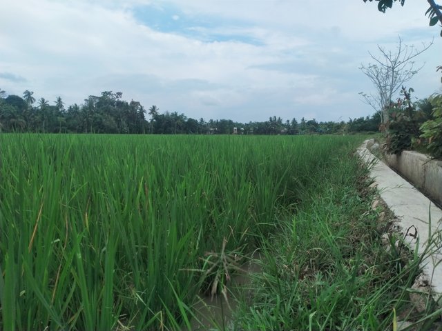 IMG20250309162824.jpg